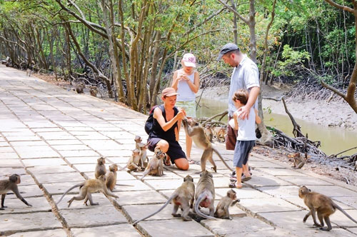 things to do in Saigon in 3 days monkey island