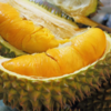 Visit Vietnam and Try the Worlds Smelliest Fruit: DURIAN