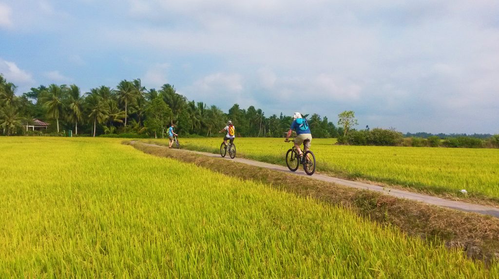 3 Day Mekong Delta Cycling Tour with Homestay