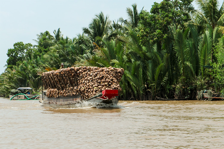 big boat in Mekong Delta