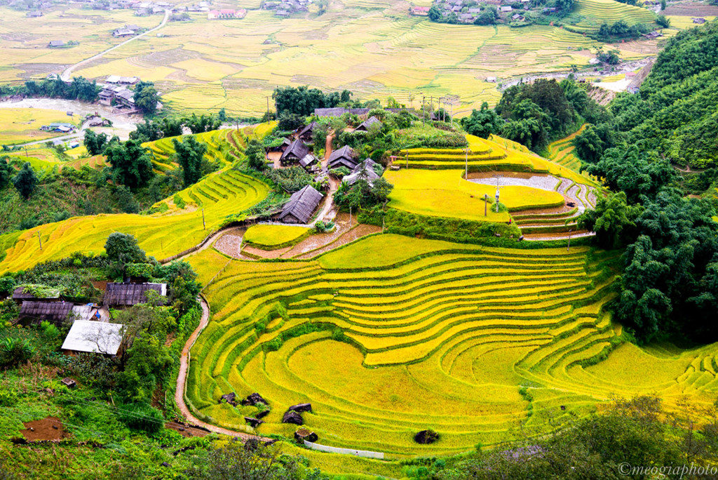 rice tourism in vietnam
