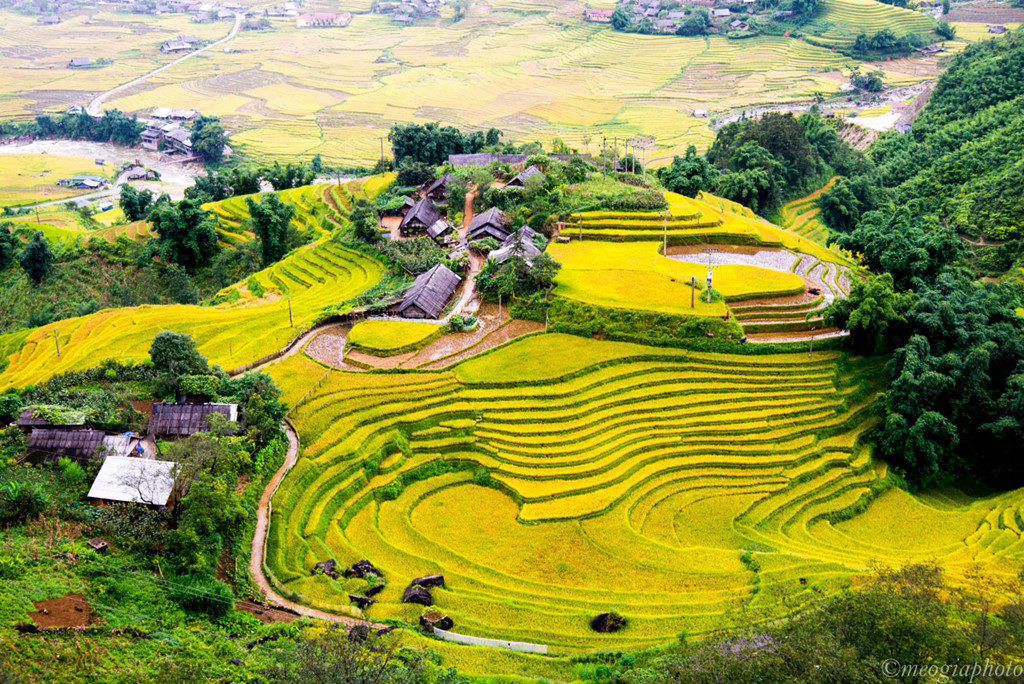 Top 4 places where you can see beautiful rice fields in Viet Nam