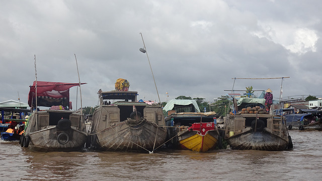 Mekong Delta Tour Cai Rang floating market