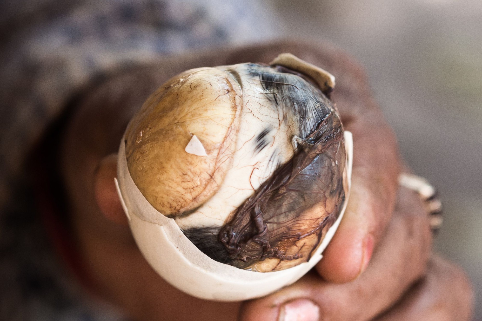 balut- saigon city tour