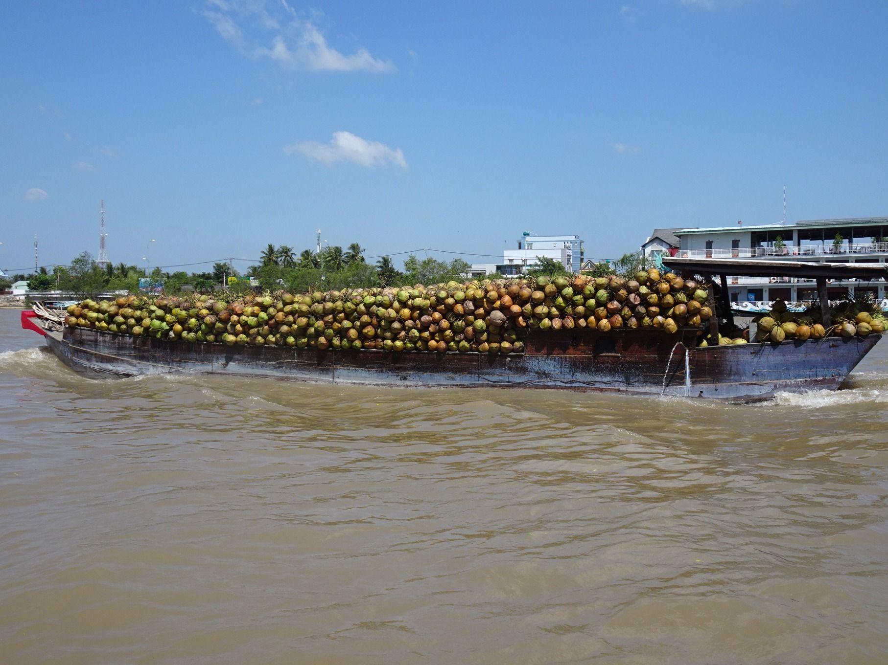 Explore Coconut Kingdom - Mekong Delta 1 Day Tour