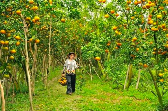 Tet in Mekong Delta