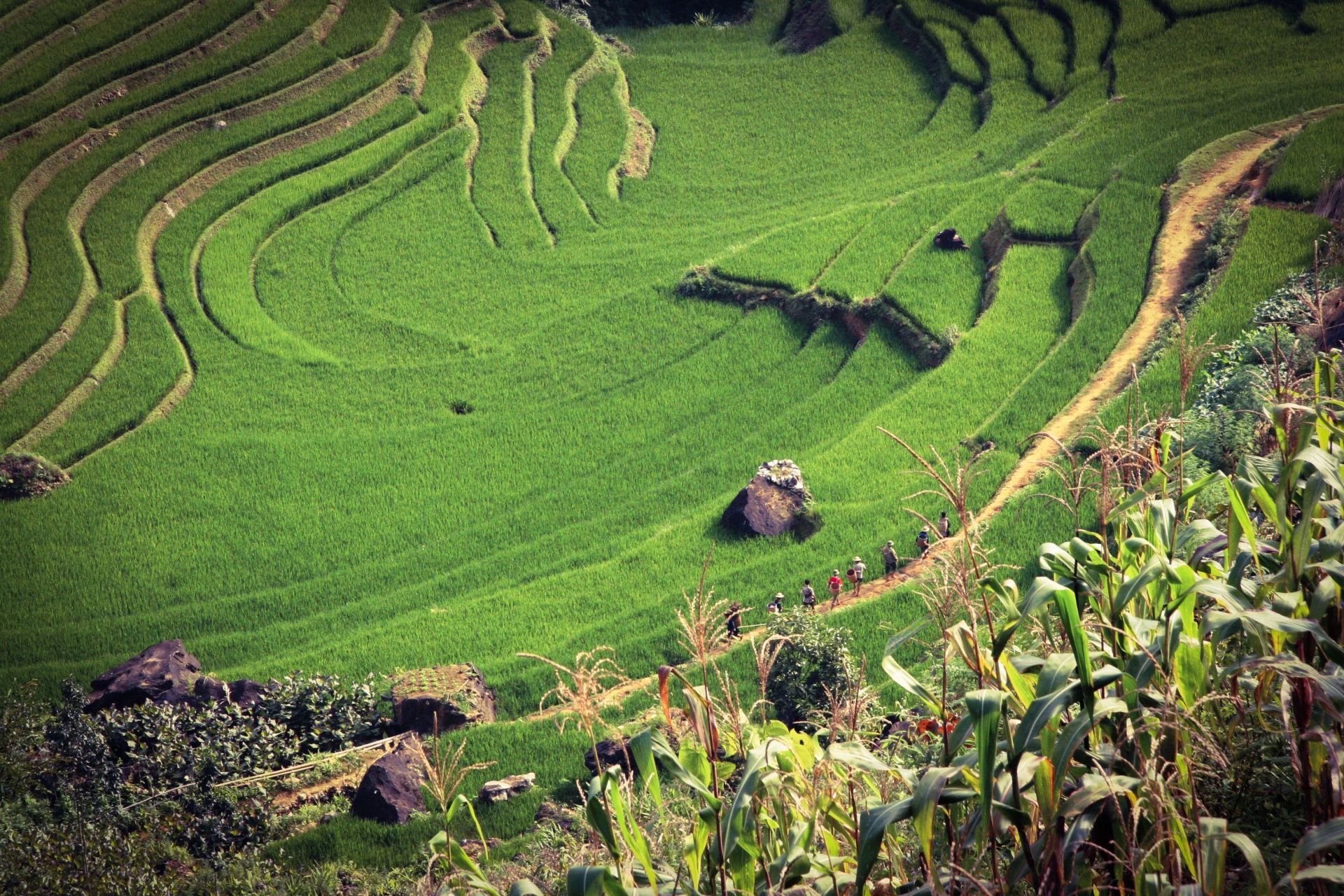 Sapa - Lao Cai province