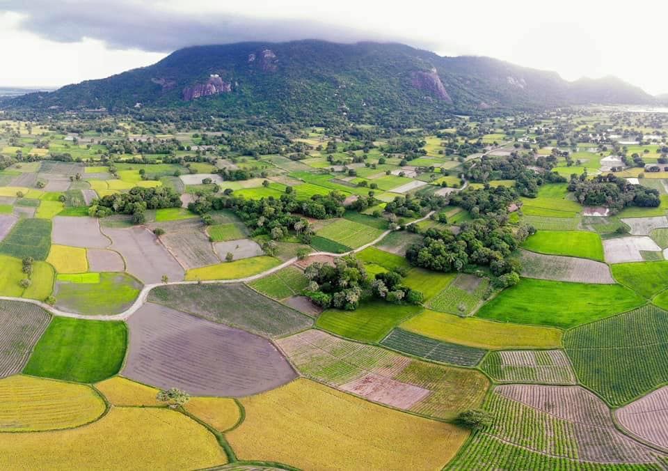 Discover the Captivating Beauty of Off-the-beaten-track Ta Pa Rice Fields in An Giang