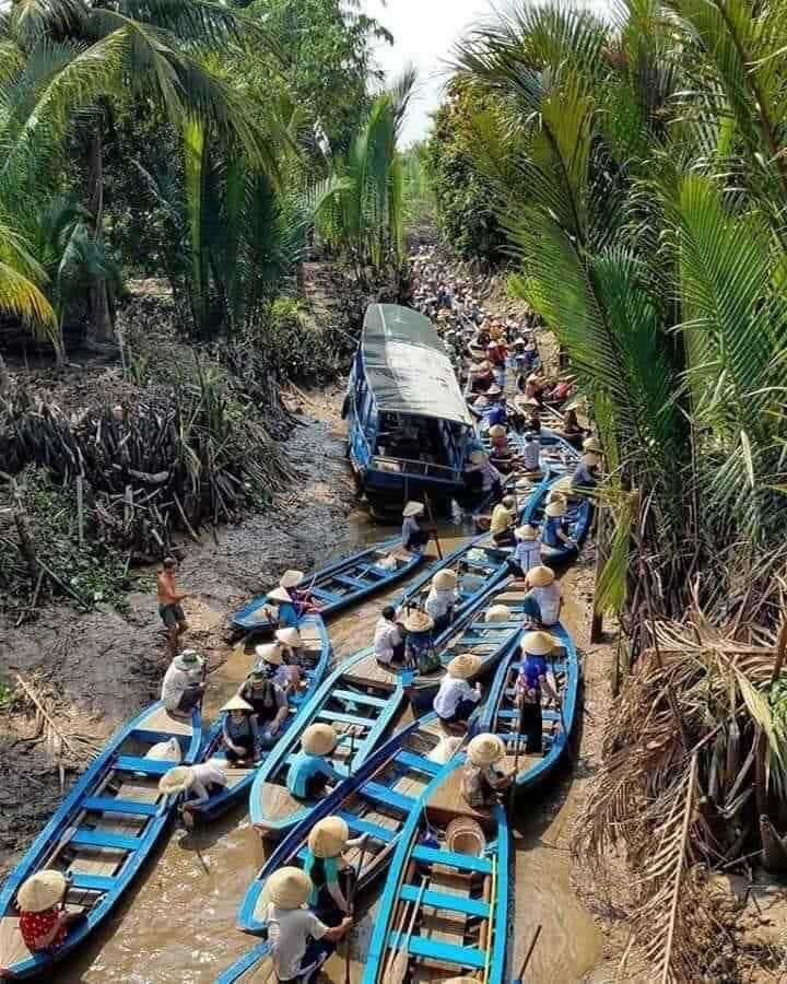 How to Avoid Touristy Traps in Mekong Delta ?