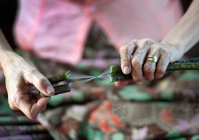 Dong Thap Lotus Silk Village: A Masterpiece of Vietnamese Craftsmanship