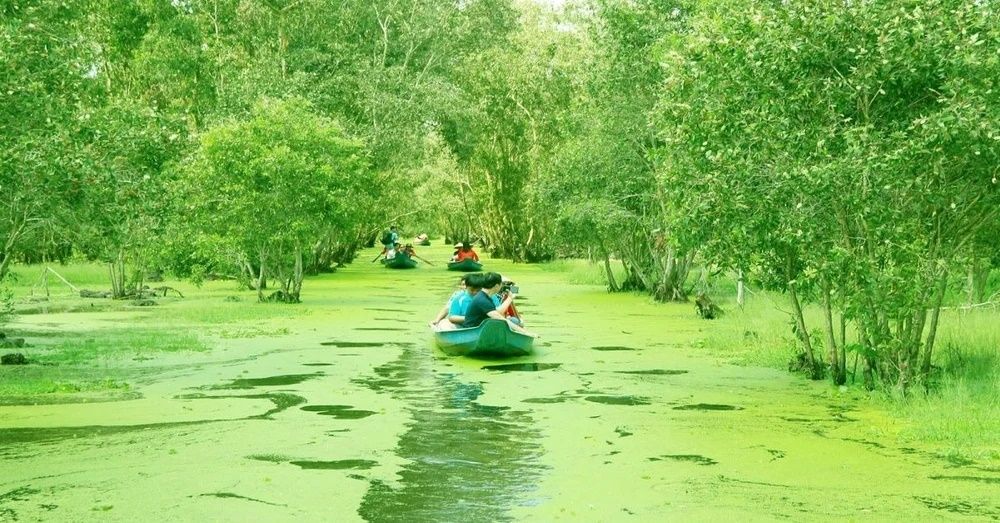 Explore Thoi Son Islet - The Non-Touristy Jewel of the Mekong Delta