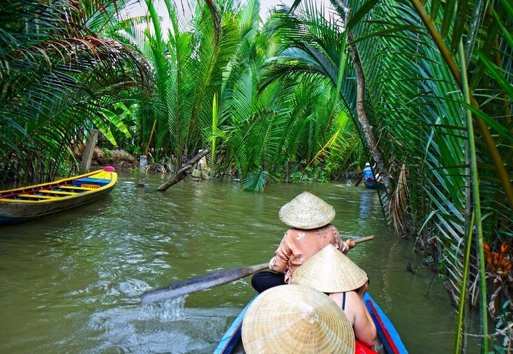 Relaxing view of coconut trees along a Mekong canals