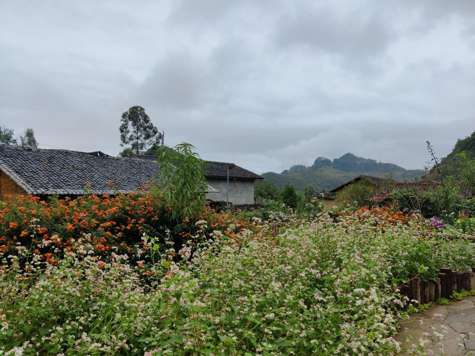 ha-giang