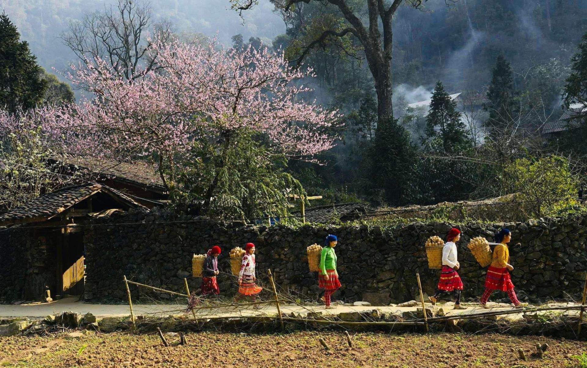 Exploring Hà Giang in Spring: A Tapestry of Blossoms and Culture