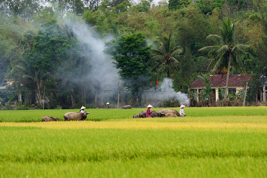 Review Mekong Delta 2 Days Tour from Innoviet's guest