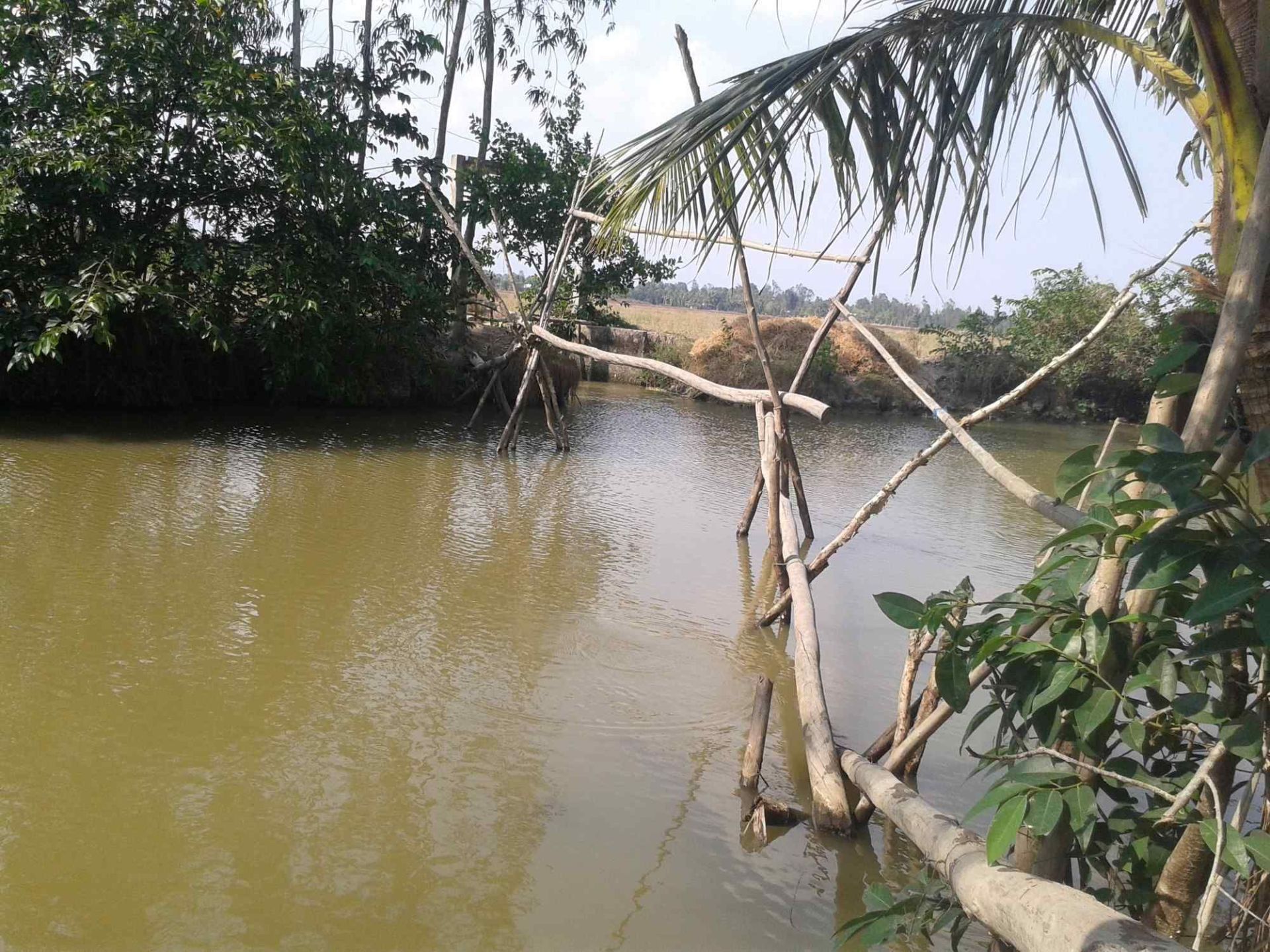 mekong---ben-tre-cau-khi---innoviet-travel