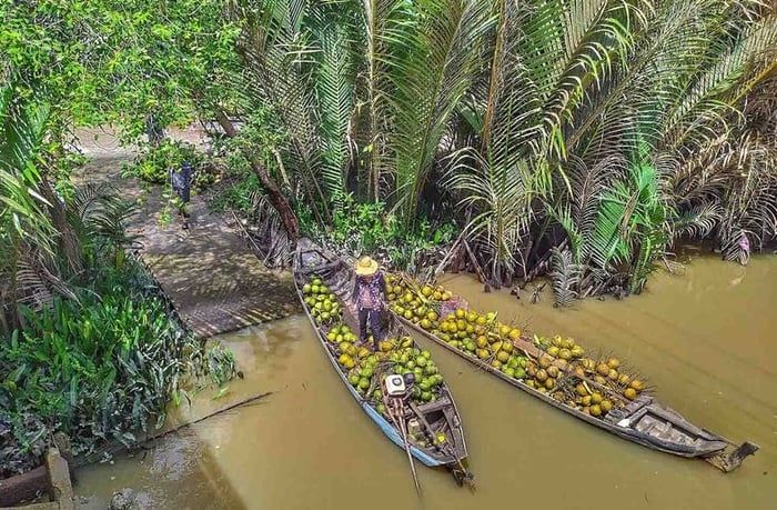 mekong---ben-tre-xuong---innoviet-travel