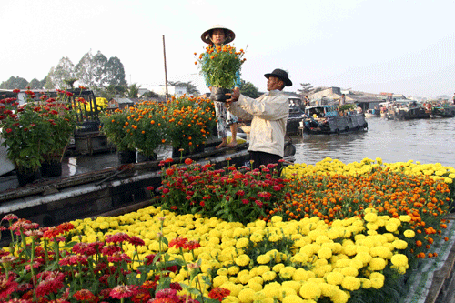 festival and cultural celebrations