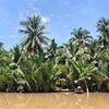 Full Day Mekong Delta Tour From Ho Chi Minh City