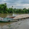Explore Vinh Long: Your Ultimate Travel Guide and Tips - Mekong Delta