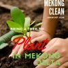 The meaning of Planting a tree in Mekong Delta