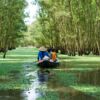 When Do Travelers Flock to the Mekong Delta: Unlocking the Best Times for Mekong Delta Tours