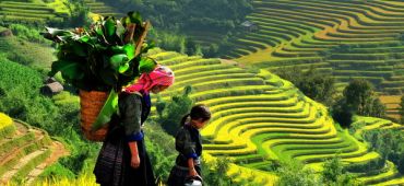 Top 4 places where you can see beautiful rice fields in Viet Nam