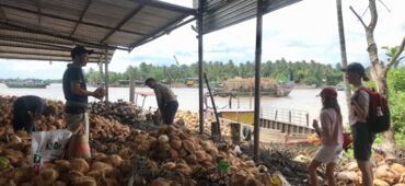 Inside Ben Tre’s Coconut Candy Workshops in Non Touristy Mekong Delta