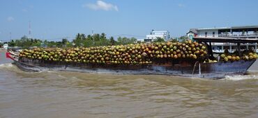 Explore Coconut Kingdom - Mekong Delta 1 Day Tour