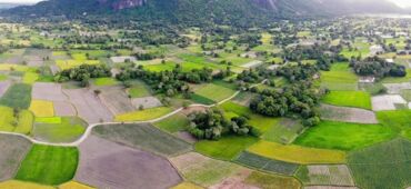 Discover the Captivating Beauty of Off-the-beaten-track Ta Pa Rice Fields in An Giang