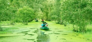 Explore Thoi Son Islet - The Non-Touristy Jewel of the Mekong Delta