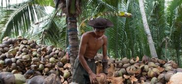 Mekong Delta Soul 2026: 5 Experiences You Won't Find in a Guidebook