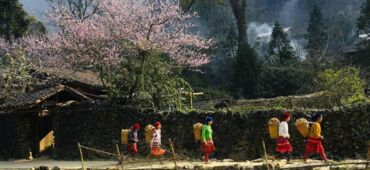 Exploring Hà Giang in Spring: A Tapestry of Blossoms and Culture