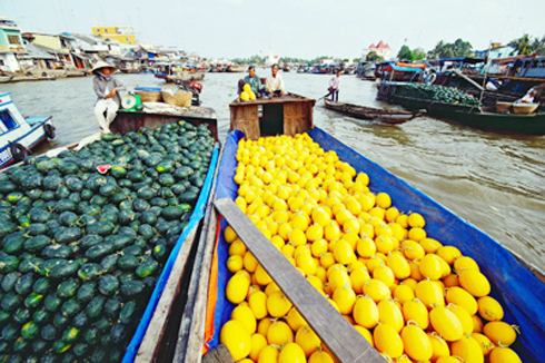 Floating market and Mekong delta